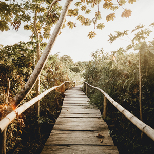 丁字裤柔术表演视频
