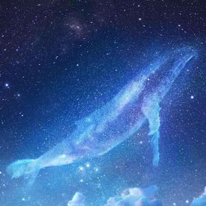 丁字裤柔术表演视频
