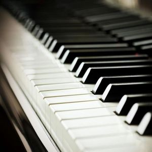 丁字裤柔术表演视频
